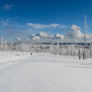 Pod vrcholem Poledník, Šumava. Šumava nabízí jeden z nejlepších terénů v Česku pro dálkové lyžování, ubytování najdete každých 25 km, takže lze lyžovat nalehko