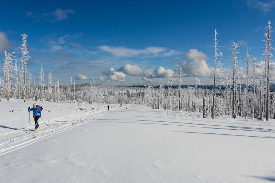 Pod vrcholem Poledník, Šumava. Šumava nabízí jeden z nejlepších terénů v Česku pro dálkové lyžování, ubytování najdete každých 25 km, takže lze lyžovat nalehko