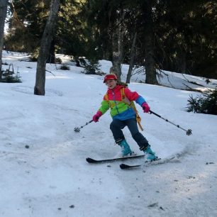 S dětmi na skialpech, trénink sjezdu v lese.