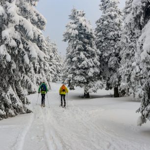 V Jeseníkách na skialpech na Severní stezce Via Czechia