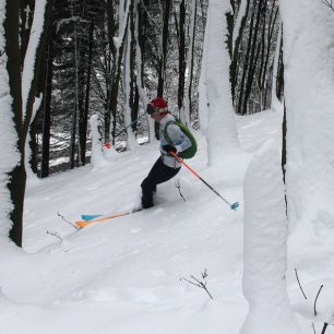 Lesní sjezd v kalhotech Vaude Shuksan Hybrid Pants woman