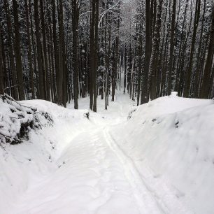 Pohled zpět po výstupovém hřebínku