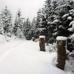 Zvlněný terén k červené turistické značce
