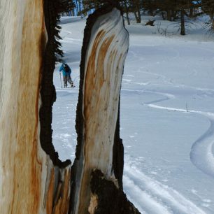 Při výstupu se na rozepnutém splitboardu pohybujete jako na běžných skialpových lyžích