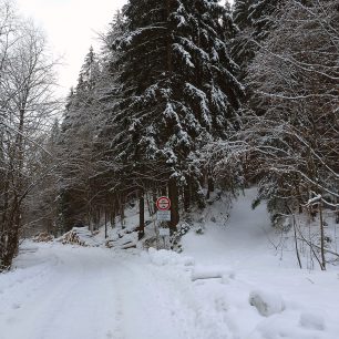 Odbočka na lesní cestu