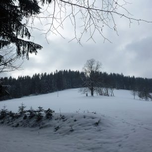 Louky s kapličkou