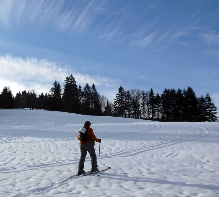 Louky v Javorníkách