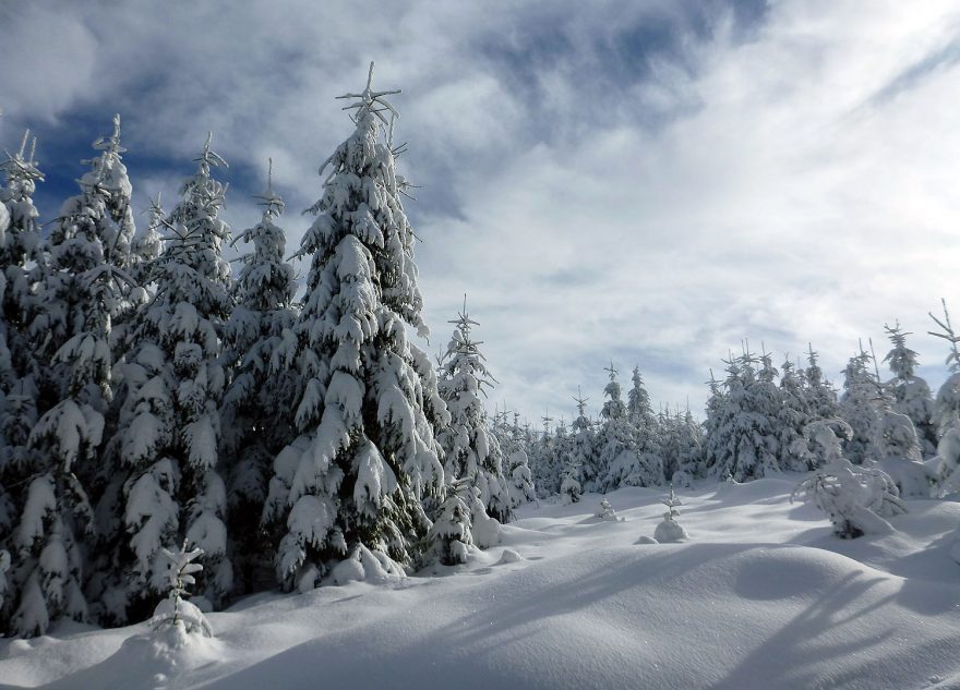 Na hřebenu Javorníků