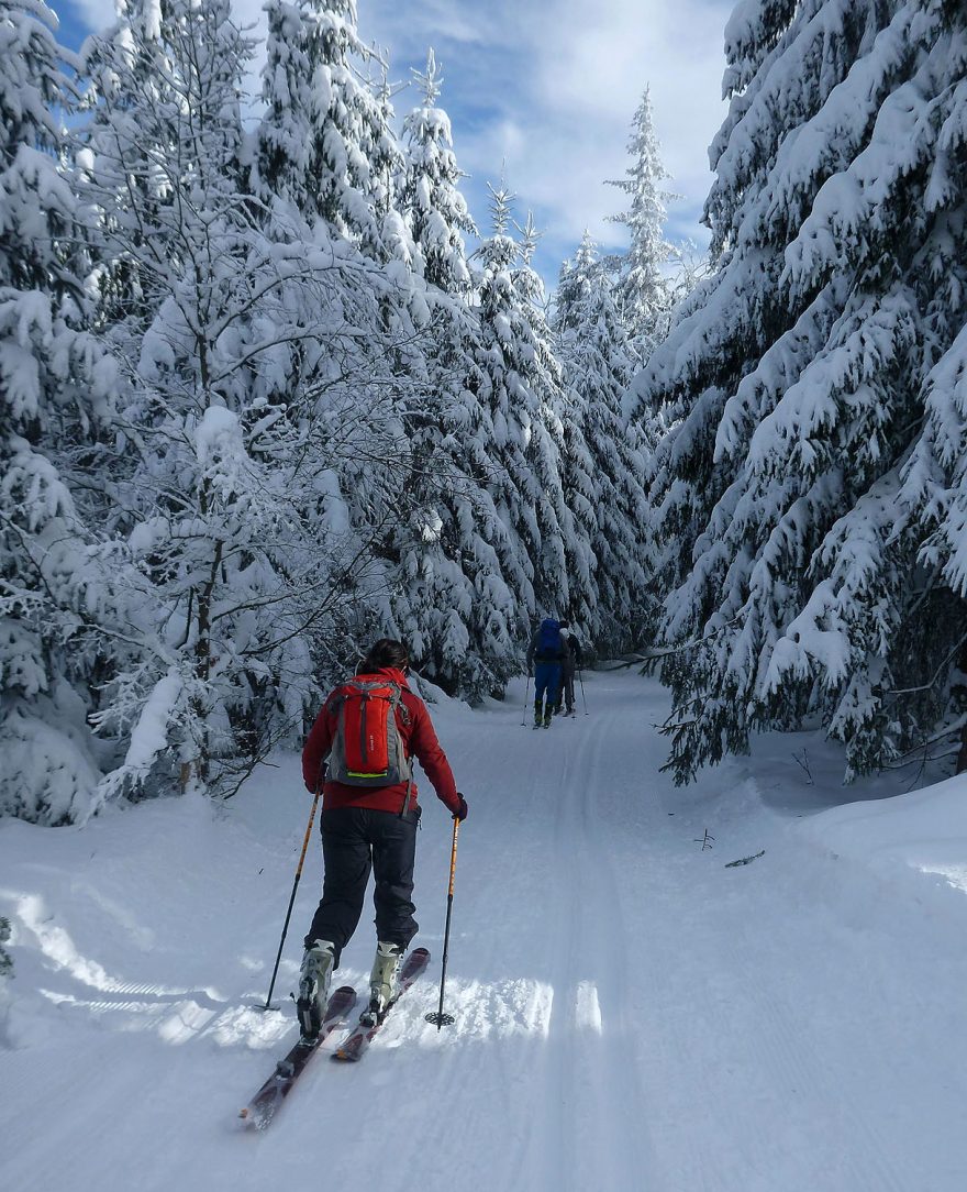 Kousek hřebenovky po červené - upravené na běžkování