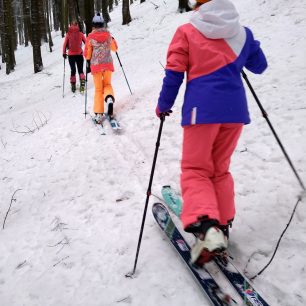 Šlapeme lesem vzhůru ke Stolečnému