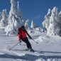 Jaké hole na skialpinistické a splitboardové aktivity?