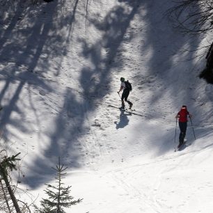 Výstup ze Sella Nevea byl místy v řídkem lese