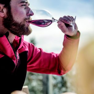 Jižní Tyrolsko je uznávaným producentem vína.