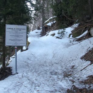 Úovdní lesní úsek nad Sella Nevea
