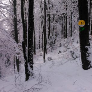 Odbočka na variantu Mikulovské
