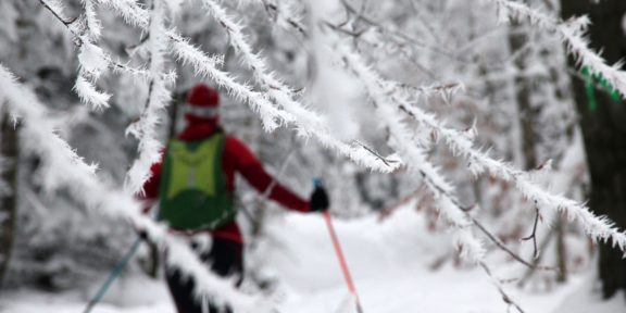 Skialp areál nad Hrobem – výstupová trasa Mikulovská