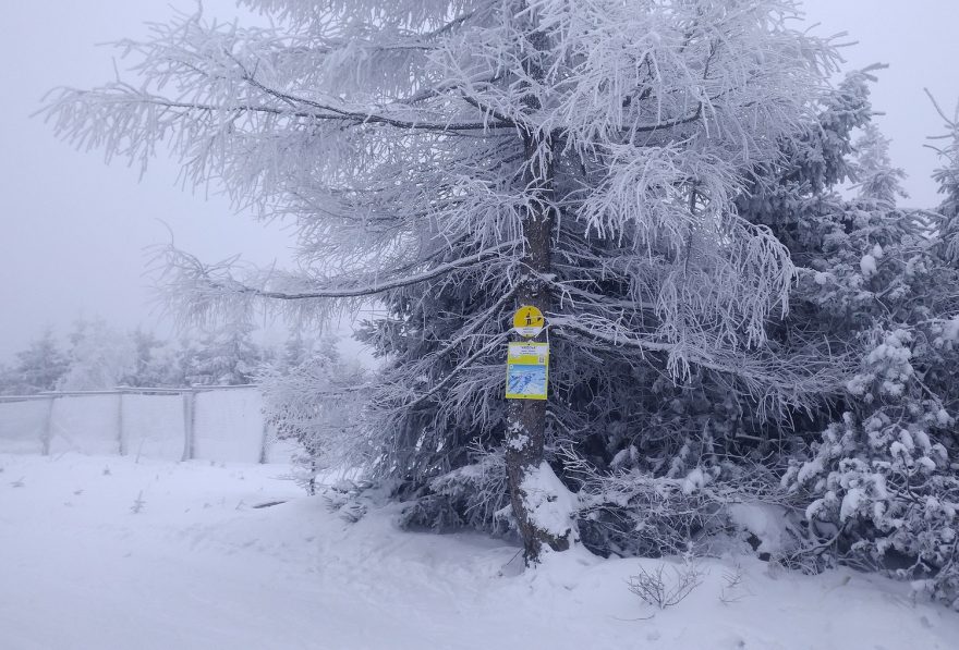 Označení skialp trasy a mapka u vrcholu Pramenáč