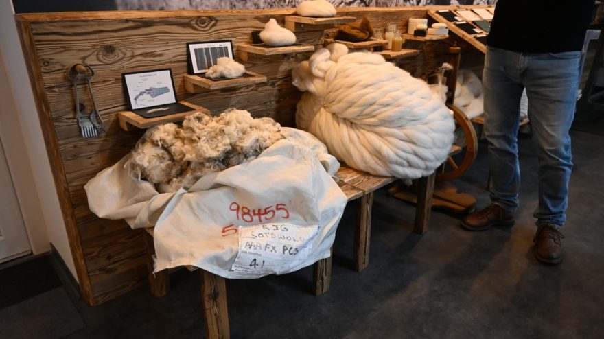 Na začátku všeho jsou ovce a surová vlna - WOOLIFE