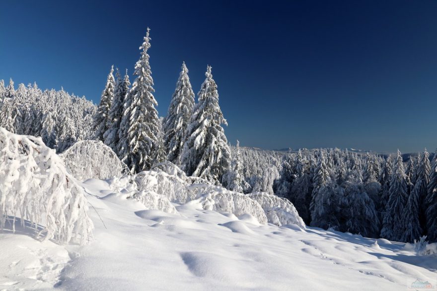 V dáli je vidět Malá Fatra a Západné Tatry