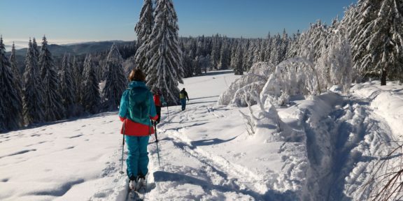 České hory na skialpech: kam jít vyzkoušet skitouring?