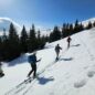 Liščí hora (1363 m) – skialpinistický okruh po boudách nad Pecí pod Sněžkou