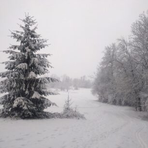 Tady byla během výstupu na Javorový nejlepší viditelnost