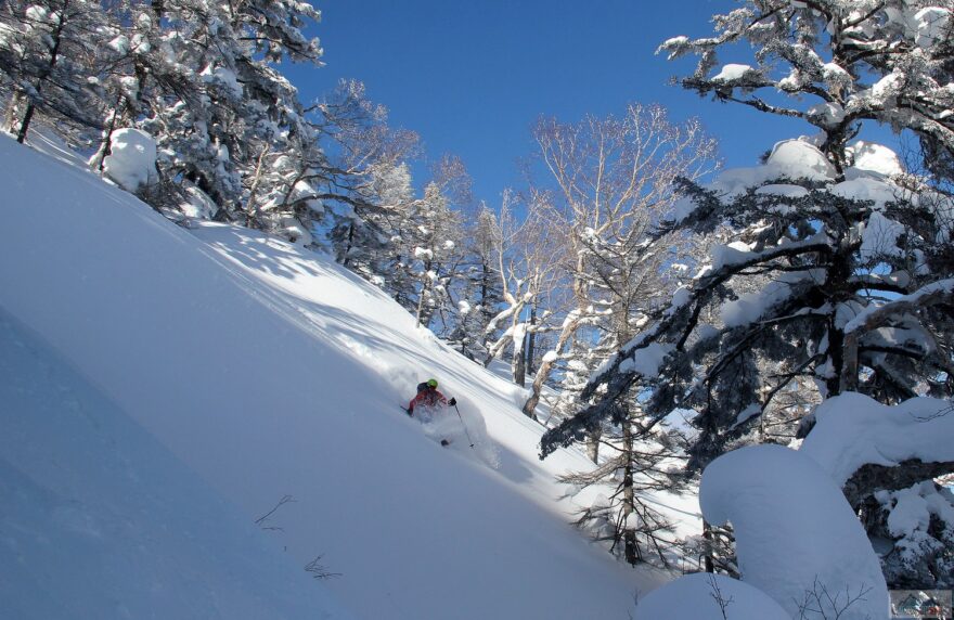Řídké lesy a spousta prašanu, to je Japonsko