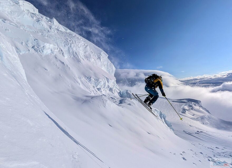 Bráchové Vorlové udělali čest svému jménu, roztáhli křídla a trochu si zalítali