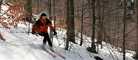 Úvahy o skialpinismu a ochraně přírody - první část