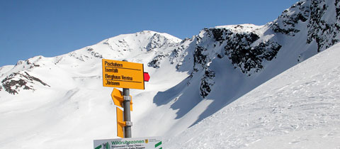 Davos: skialpové příležitosti