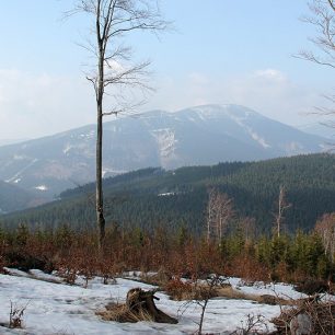 Mezistromový výhled na druhý nejvyšší beskydský vrchol – 1276 m vysoký Smrk 