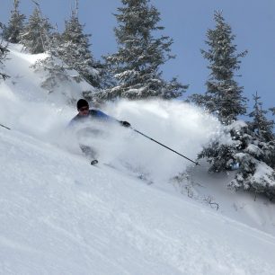 A lyžař mizí v prachovém sněhu