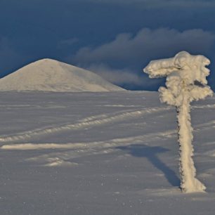 Odbočka na Veslefjellet