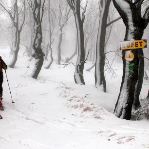 V některých horských oblastech České republiky jsou už dnes vyznačeny skialpinistické trasy