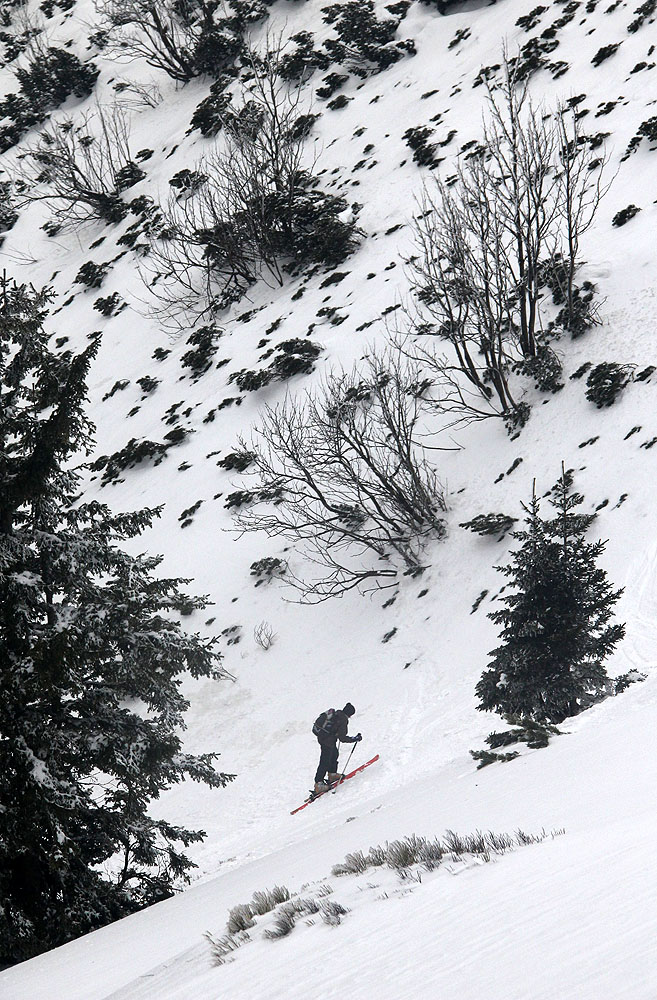 Stoupání bylo částečně skrz porost