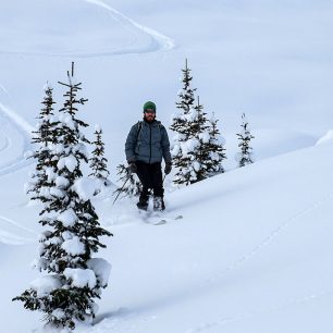Španěl Albert si dává pár obloučků mezi stromkama na Hermit Trail