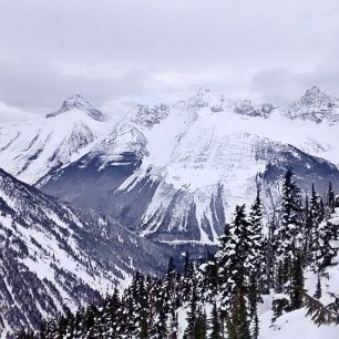 Cougar East a na protějším kopci dobře vyditelné lavinové dráhy z hřebene Avalanche Crest