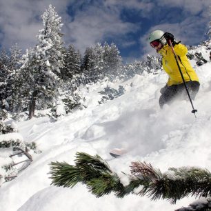 Freeride v kosodřevině