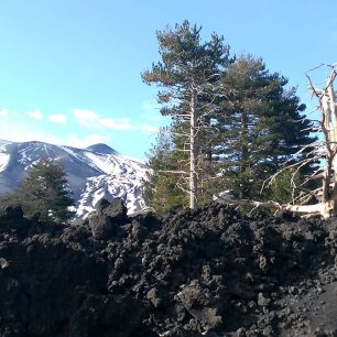 Prvý pohľad na Etnu cez lávové prúdy lemujúce okraje cesty. So snehom to vyzerá biedne z tohto pohľadu, zatiaľ z toho dobrý pocit nemáme, ale optimizmus nestrácame