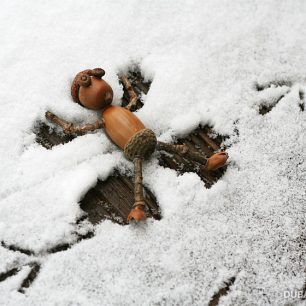 Dubánčí andělíček ve sněhu