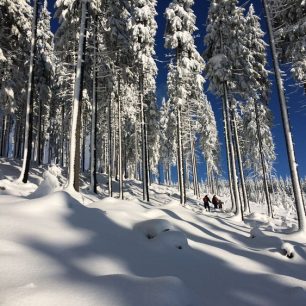 Skialpový kurz Krkonoše.