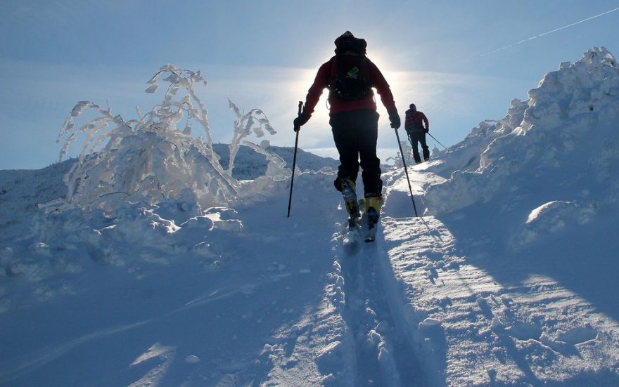 Volný terén nad hranicí lesa a kosodřeviny, výstup na Kriváň