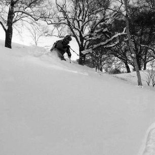 Prašanové lyžování v Japonsku