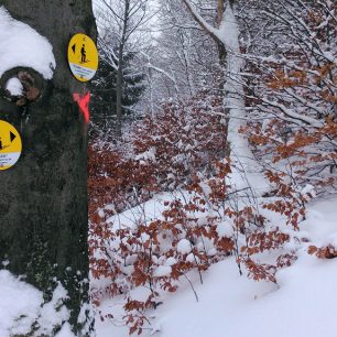 Značení nahoru je zeleně, dolů potom červeně