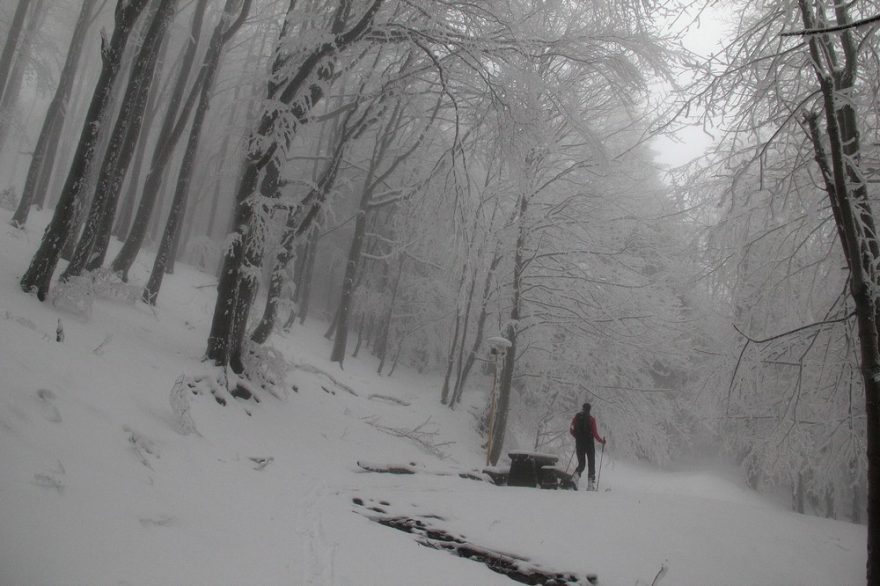 Na Černé hoře se zprava připojuje červená turistická značka