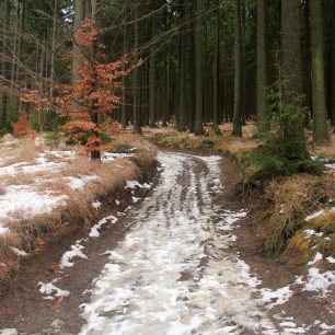 První úsek žluté turistické značky byl po oblevě bez sněhu