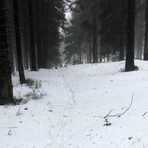 Z odbočky ze žluté se stoupá na Temnou - pohled zpět
