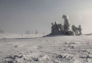 Skialpový výlet na Vysokou holi (1464 m) v hlavním jesenickém hřebenu