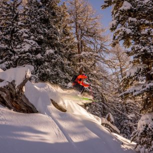 Lesíky v Nendaz