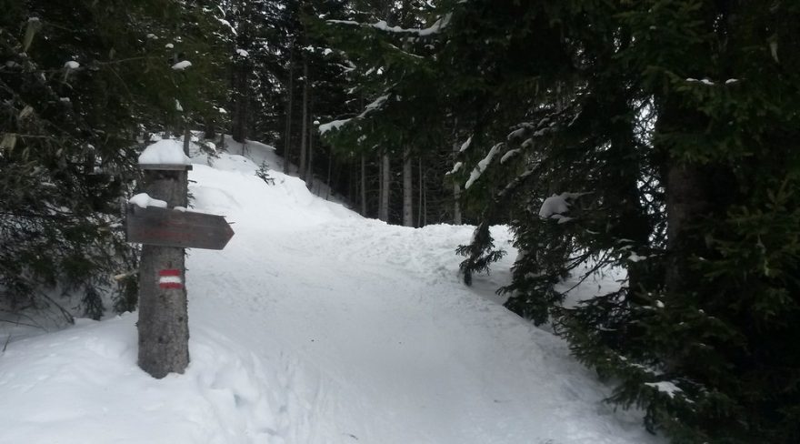 Odbočka na Glocknerblick